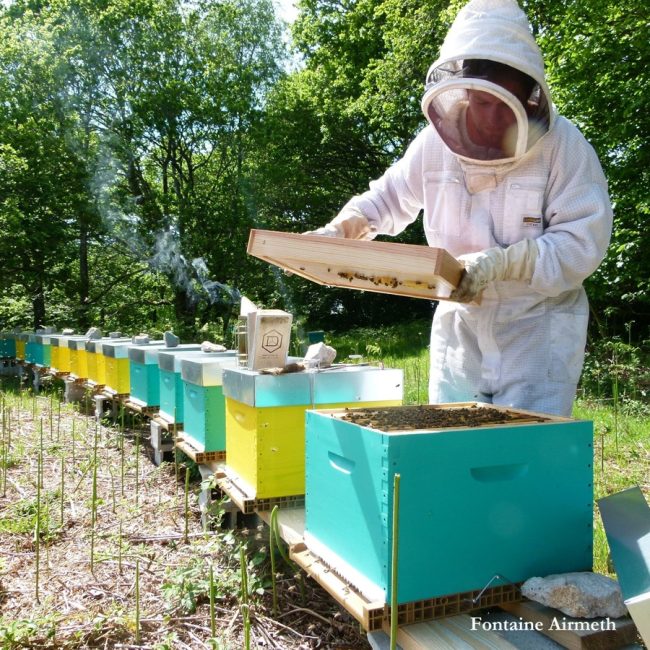 Les Miels de la Fontaine Airmeth