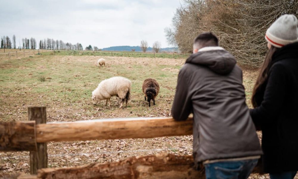 Rester en forme cet hiver : 10 conseils naturels et pratiques