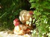 Poulet au grand air