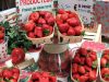 Des fraises direct de la ferme 