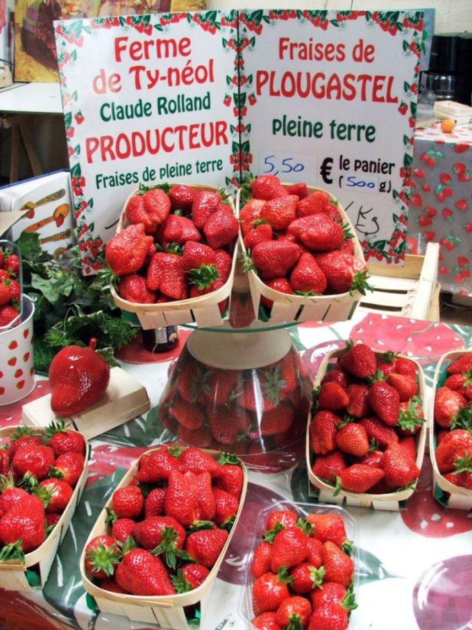 Des fraises direct de la ferme 