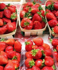 Fraises de Ty-Néol
