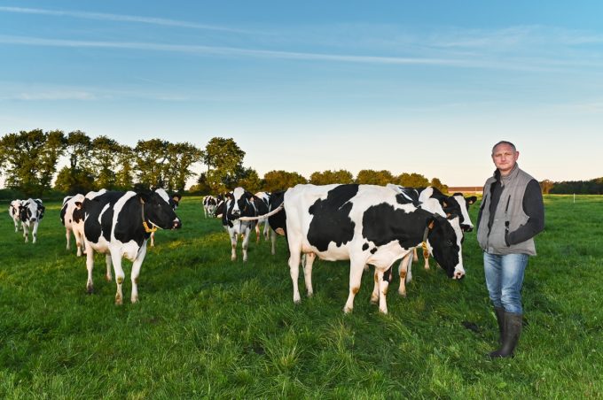 Yann et les vaches, productrices du bon lait !