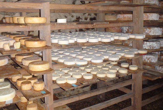 Affinage des fromages
