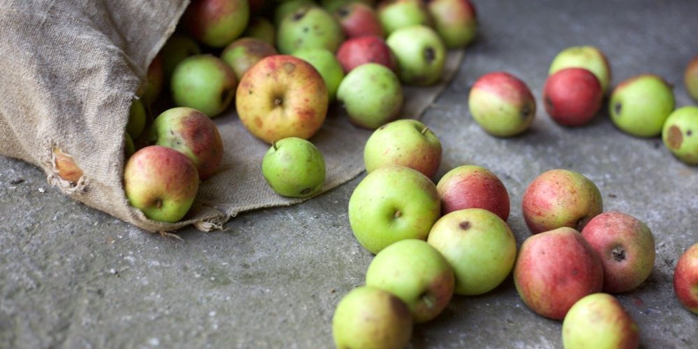 Gaspillage alimentaire : 2mins top chrono, pour tout comprendre.