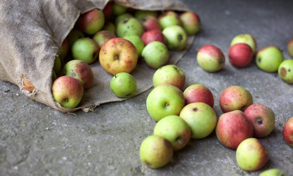 Gaspillage alimentaire : 2mins top chrono, pour tout comprendre.