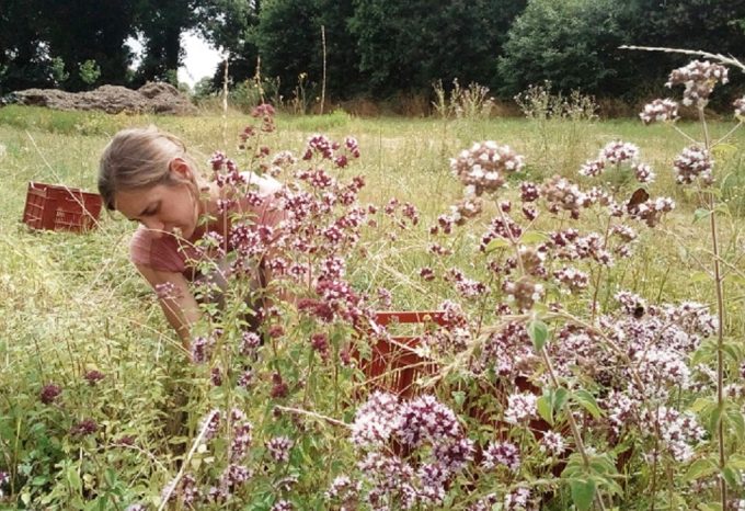 Grain de Méliss - floraison