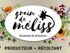 Grain de Méliss - logo