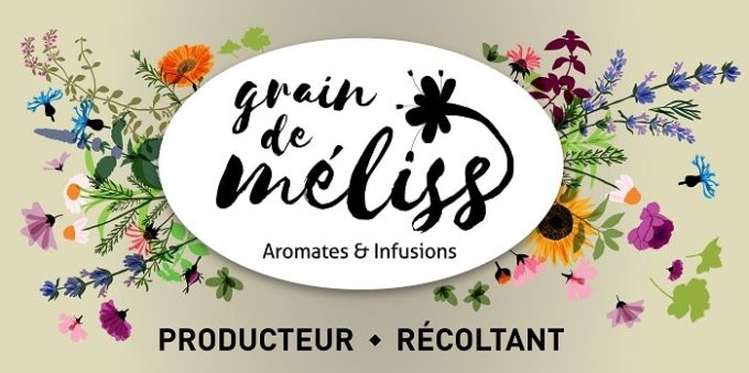 Grain de Méliss - logo
