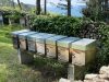 An Glazard Gwerr Apiculture - ruches