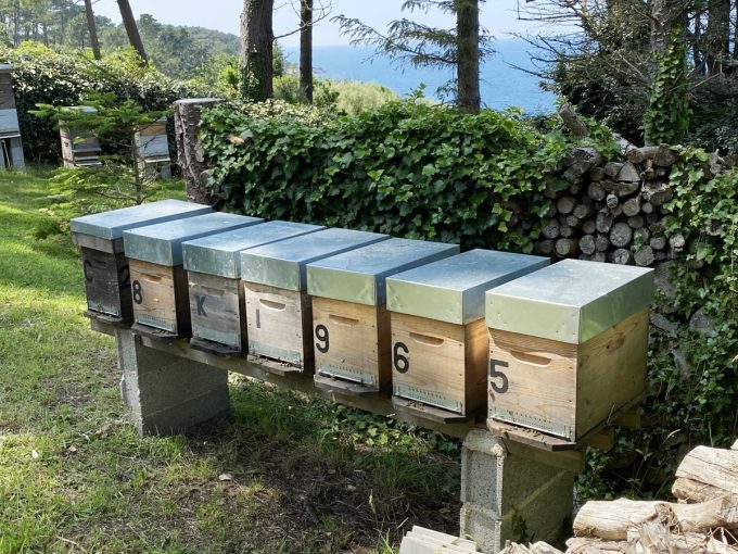 An Glazard Gwerr Apiculture - ruches