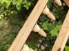 An Glazard Gwerr Apiculture - ruche