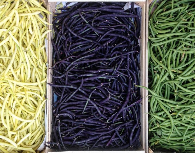 Haricots à gogo