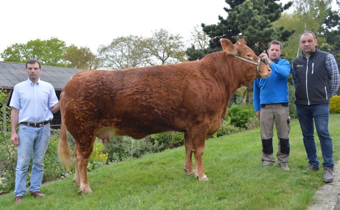 Les trois associés de la ferme