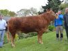 Les trois associés de la ferme