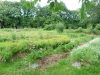 Terrain de 5000m²