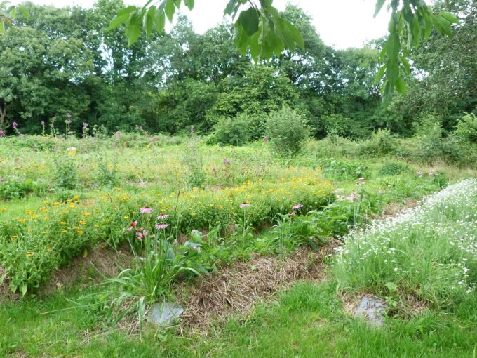 Terrain de 5000m²