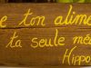 Du bon sens !