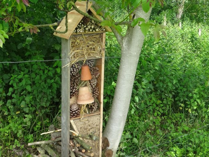 Hôtel à Insectes