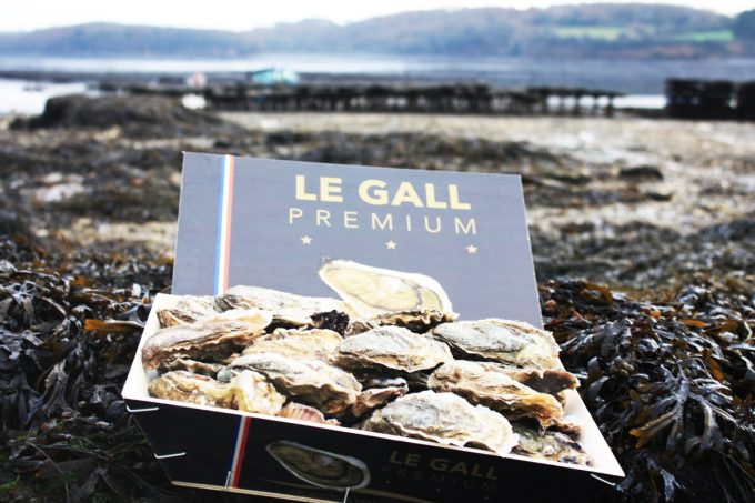 Huîtres Premium LE GALL