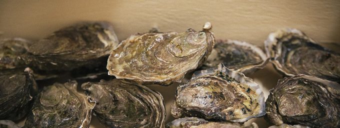 Des huîtres exceptionnelles à la saveur unique