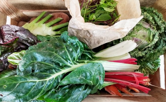 Panier de légumes
