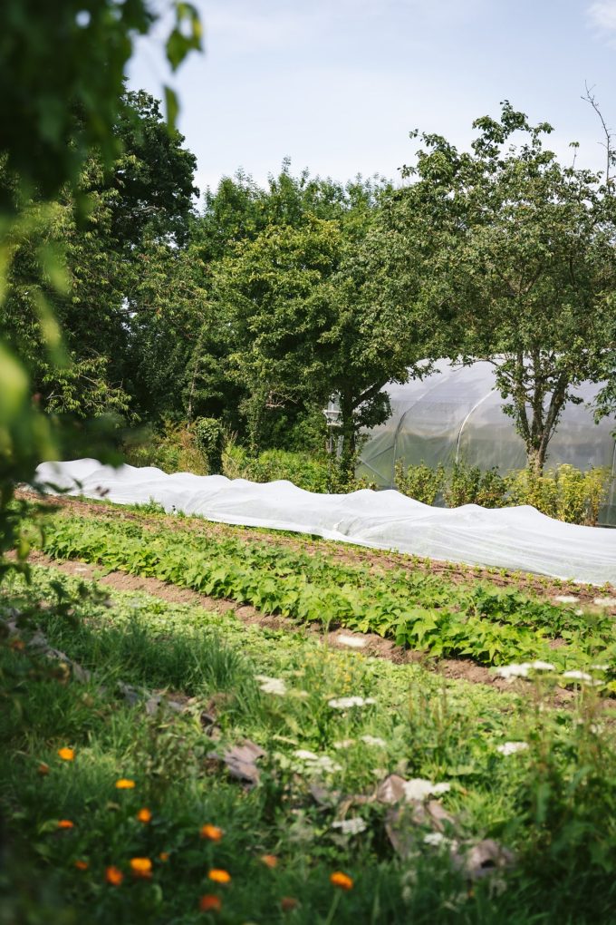 Jardins de la Matz - tunnel légumes dans le verger