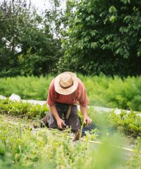 Jardins de la Matz