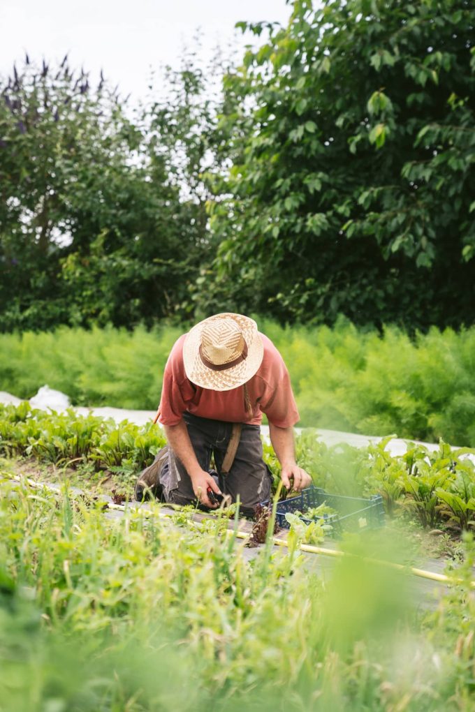 Jardins de la Matz