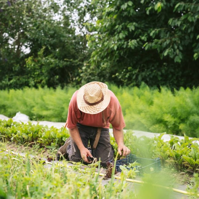 Jardins de la Matz