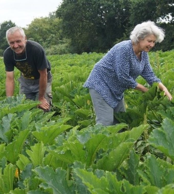 Le Jardin Potager de Loctudy - vos serviteurs