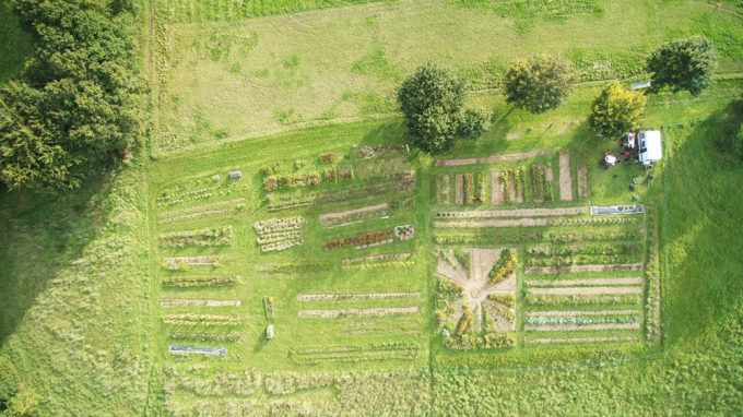 Vue aérienne du jardin