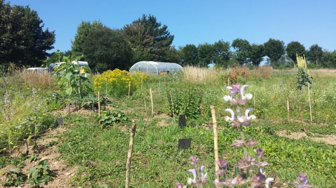 Les Jardins de Sarah