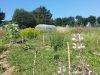 Les Jardins de Sarah