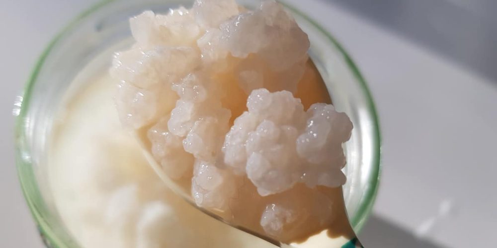 Kéfir de fruits : origine, bienfaits et recette facile