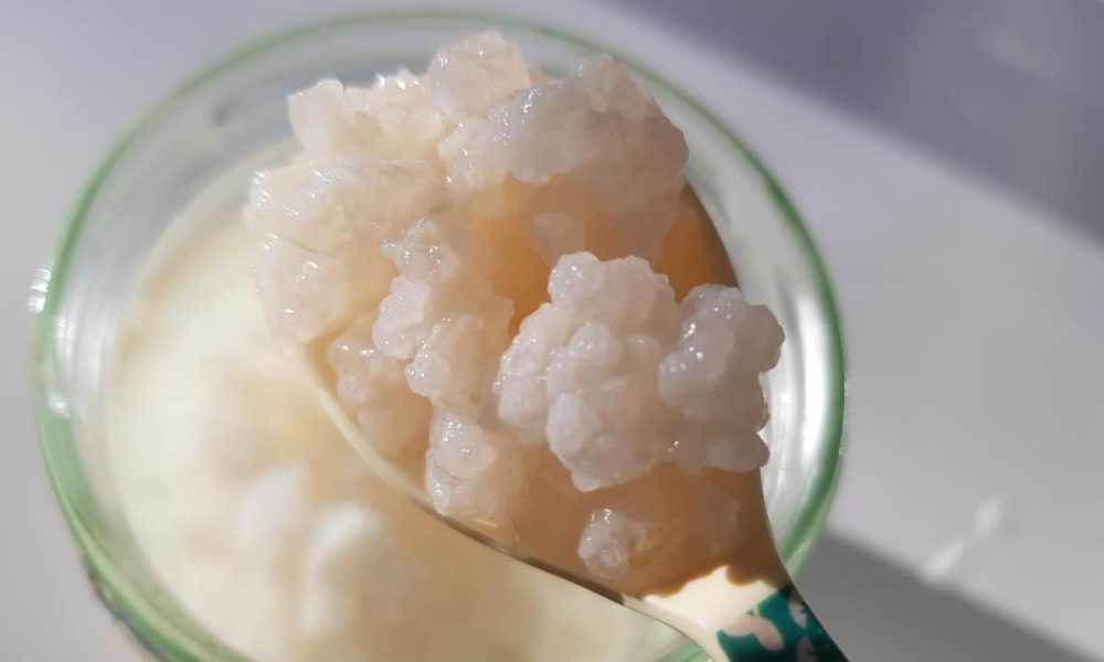 Kéfir de fruits : origine, bienfaits et recette facile