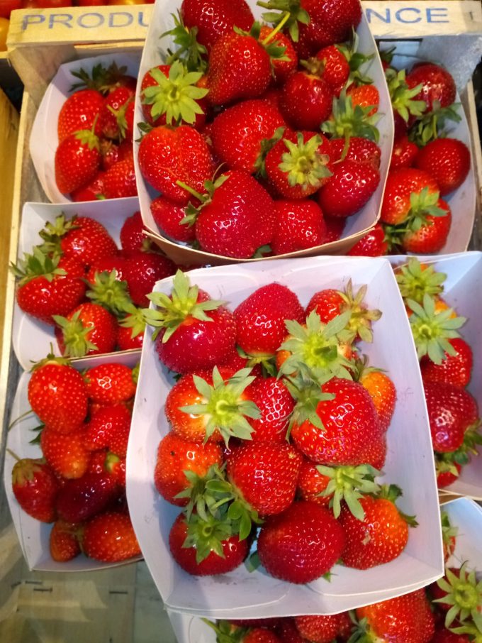 Ferme de Kercabon Vras - fraises