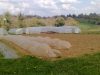 Ferme de Kerolivier