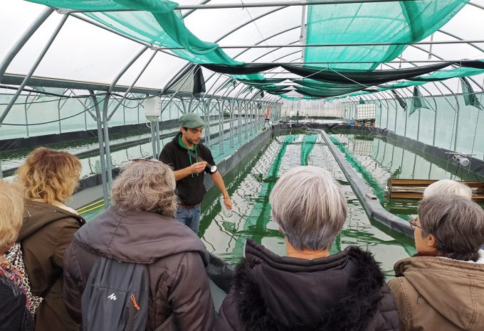Kian Spiruline - public attentif
