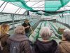 Kian Spiruline - public attentif