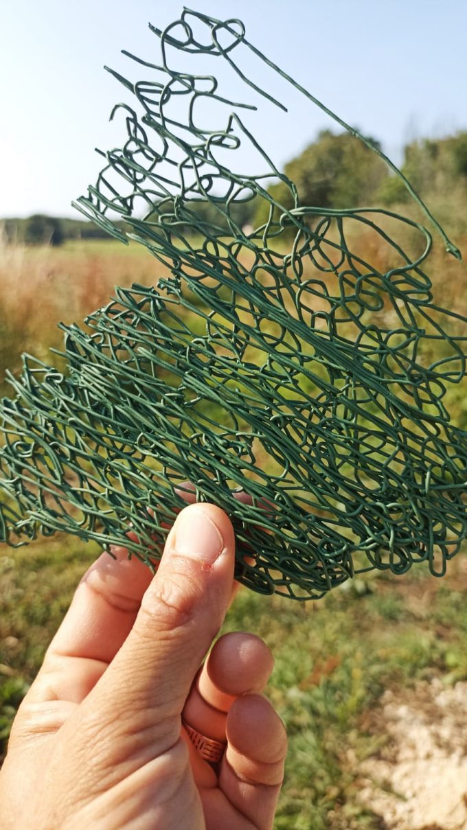 Kian Spiruline - grillage de spiruline