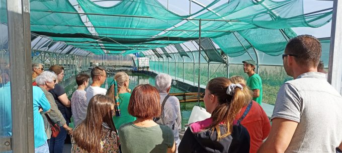 Kian Spiruline - visite à la ferme