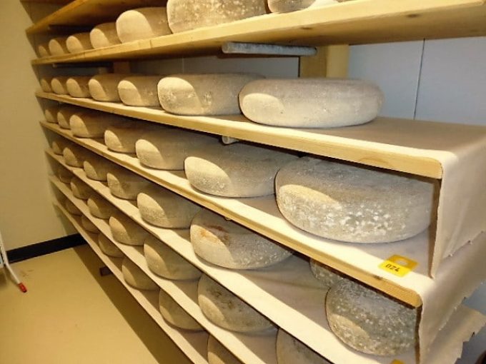 Fromage Kimerc'h affiné deux mois