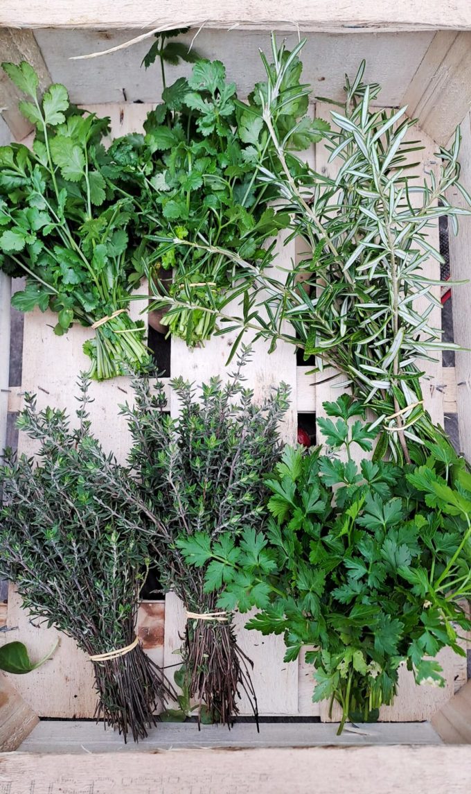 La Belle Verte - aromatiques