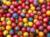 La Belle Verte - tomates