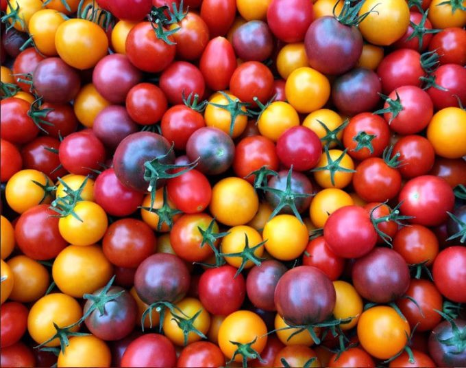 La Belle Verte - tomates