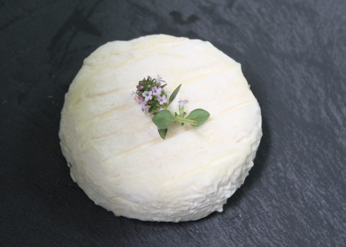 Crottin de chèvre