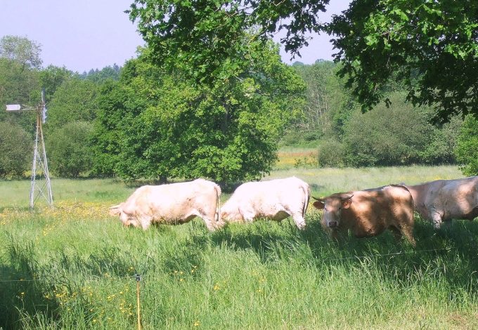 La Ferme de Trénube