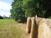 La Ferme de Trénube - alimentation herbe et foin