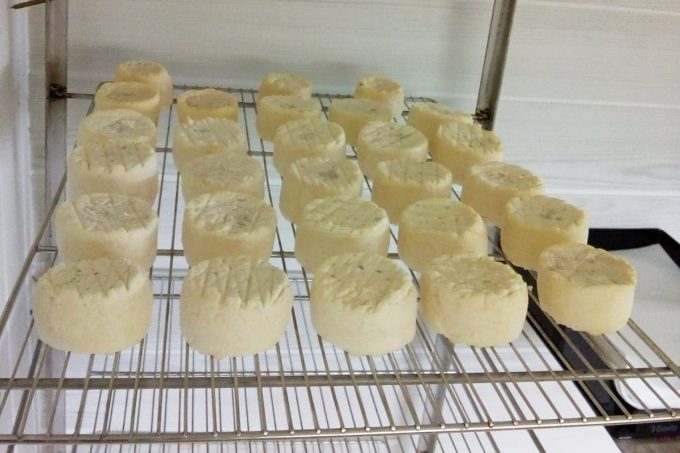 La Ferme de Trofalher - affinage de fromages de chèvre